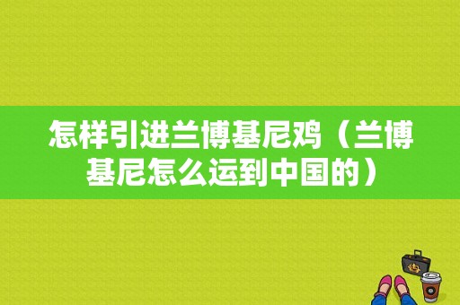 怎样引进兰博基尼鸡（兰博基尼怎么运到中国的）-图1