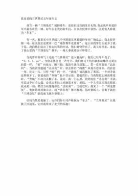 关于兰博基尼的作文（关于兰博基尼的句子）-图2