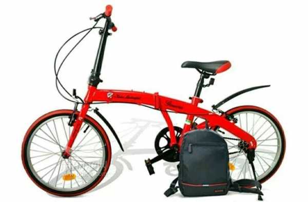 兰博基尼折叠自行车lb2001（兰博基尼折叠自行车怎么安装）-图1