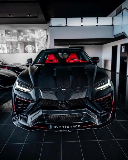 兰博基尼mansoryurus（兰博基尼mansory）-图3