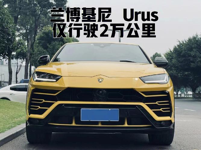 兰博基尼大型suv（兰博基尼大型SUV）-图1