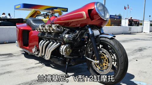 兰博基尼摩托车12缸（兰博基尼摩托车12缸多少钱）-图3