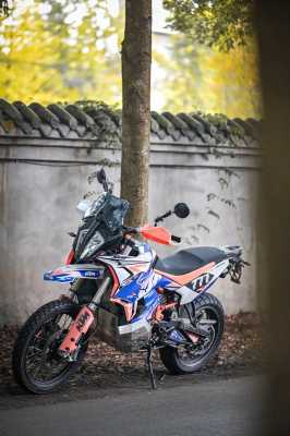 ktm1190advr配置-图3